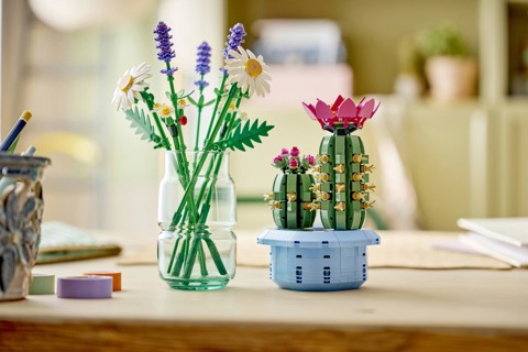 LEGO Botanicals 11509 Cactus in Fiore, Pianta Artificiale in Vaso con 2 Cactus e Fiori Finti