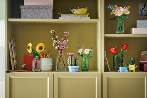 LEGO Botanicals 11509 Cactus in Fiore, Pianta Artificiale in Vaso con 2 Cactus e Fiori Finti