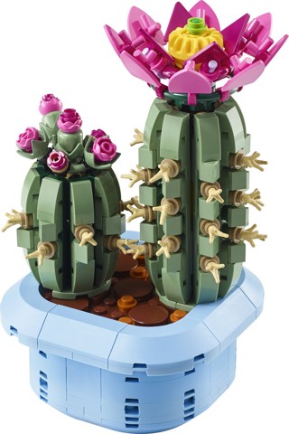 LEGO Botanicals 11509 Cactus in Fiore, Pianta Artificiale in Vaso con 2 Cactus e Fiori Finti, Idea Regalo per Bambine da 9+