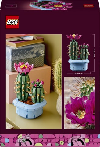 LEGO Botanicals 11509 Cactus in Fiore, Pianta Artificiale in Vaso con 2 Cactus e Fiori Finti, Idea Regalo per Bambine da 9+