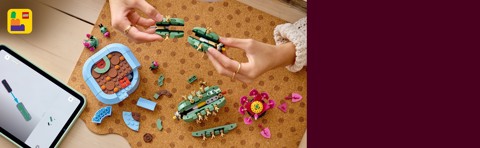LEGO Botanicals 11509 Cactus in Fiore, Pianta Artificiale in Vaso con 2 Cactus e Fiori Finti, Idea Regalo per Bambine da 9+