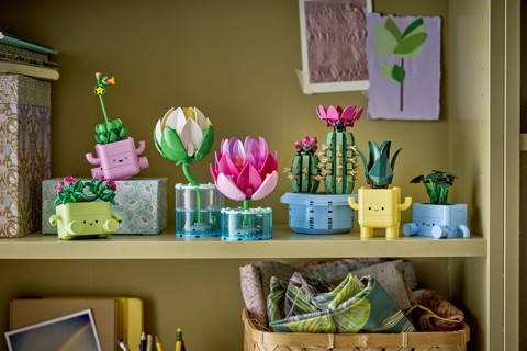 LEGO Botanicals 11509 Cactus in Fiore, Pianta Artificiale in Vaso con 2 Cactus e Fiori Finti, Idea Regalo per Bambine da 9+