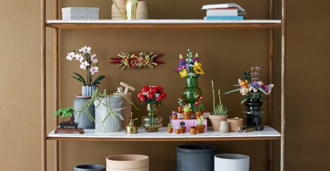 LEGO Botanicals Bouquet di rose