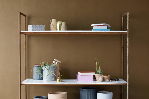 LEGO Botanicals Bouquet di rose