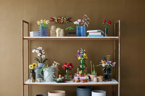 LEGO Botanicals Bouquet di rose