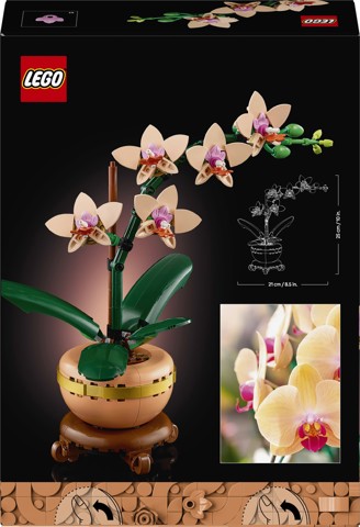 LEGO Botanicals Mini-orchidea