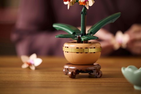 LEGO Botanicals Mini-orchidea