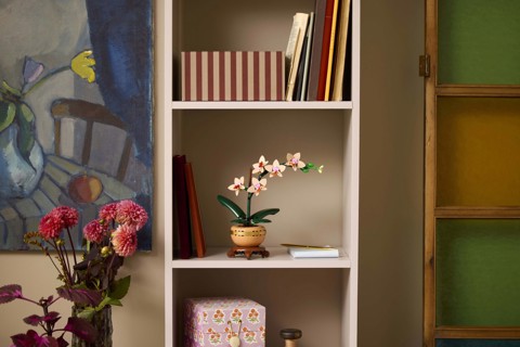 LEGO Botanicals Mini-orchidea