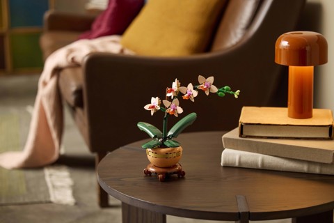 LEGO Botanicals Mini-orchidea