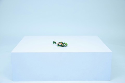 LEGO Creator 31377 3in1 Tartaruga con Fiore di Ninfea, Animale Giocattolo Trasformabile in Camaleonte o Rana