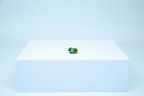 LEGO Creator 31377 3in1 Tartaruga con Fiore di Ninfea, Animale Giocattolo Trasformabile in Camaleonte o Rana