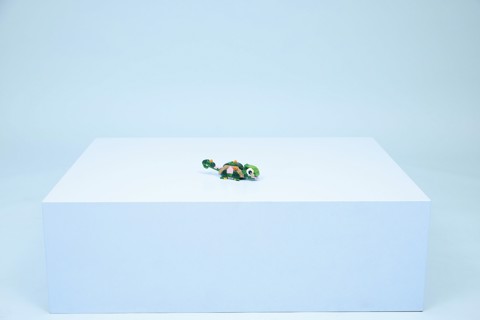 LEGO Creator 31377 3in1 Tartaruga con Fiore di Ninfea, Animale Giocattolo Trasformabile in Camaleonte o Rana, Regalo 7+ Anni