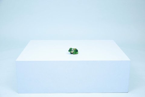 LEGO Creator 31377 3in1 Tartaruga con Fiore di Ninfea, Animale Giocattolo Trasformabile in Camaleonte o Rana, Regalo 7+ Anni