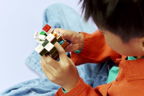 LEGO Minecraft 21583 Avventura di Steve nella Taiga