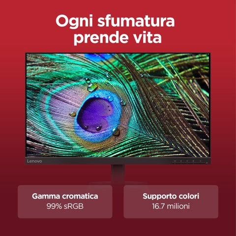 Lenovo L24-4e - Monitor 23.8" IPS Flat FHD 1920x1080 0 100Hz 4ms - 1xHDMI 1.4 + 1xVGA - Stand Tilt Cavo HDMI incluso