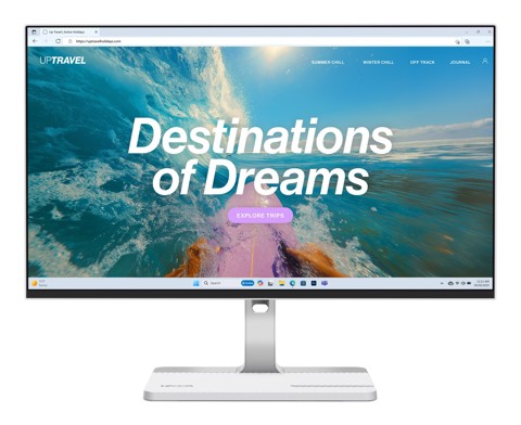 Lenovo L24D-4C Monitor