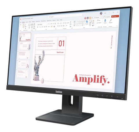 Lenovo ThinkVision E24-40 Monitor