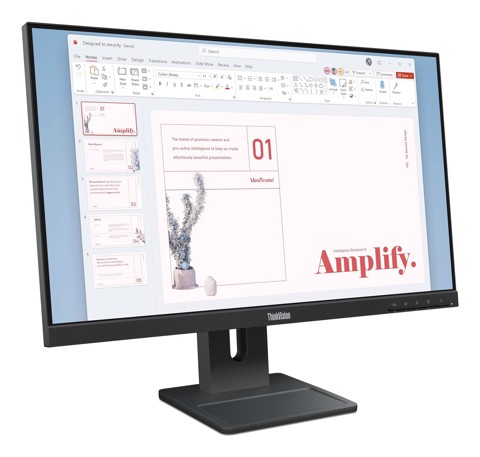 Lenovo ThinkVision E24-40 Monitor