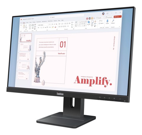 Lenovo ThinkVision E24-40 Monitor