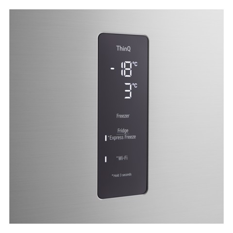 LG GTFV61PYBQD Frigorifero doppia porta Classe energetica E Platinum Silver