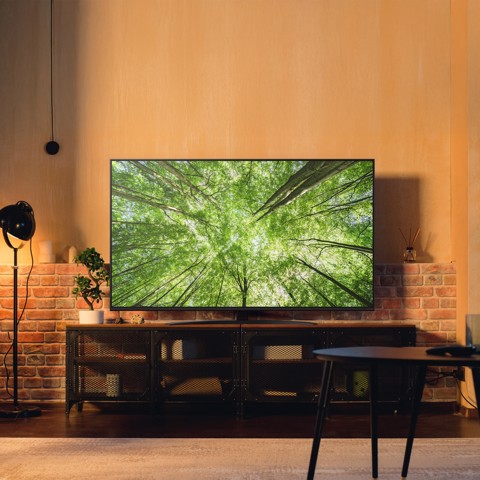 LG NanoCell AI 65NANO81A6A TV Serie NANO81 65'' 4K, α7 Gen8, HDR10, 20W, 3 HDMI con Game Optimizer, Smart TV WebOS 25
