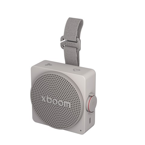 LG xboom Mini by will.i.am, Speaker Bluetooth portatile 5W, Compatto e versatile, 10 ore di autonomia, IP67, Grey