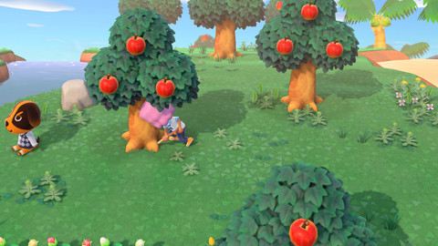 Nintendo Animal Crossing: New Horizons Basic Inglese, ITA Nintendo Switch