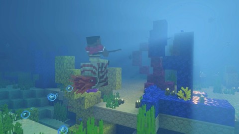 Nintendo MINECRAFT Standard Inglese, Francese, Tedesca, ESP, ITA, Giapponese, Coreano, DUT, Russo, Cinese semplificato, Cinese tradizionale, Portoghese Nintendo Switch 2