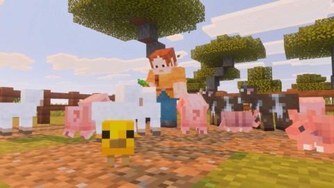 Nintendo MINECRAFT Standard Inglese, Francese, Tedesca, ESP, ITA, Giapponese, Coreano, DUT, Russo, Cinese semplificato, Cinese tradizionale, Portoghese Nintendo Switch 2
