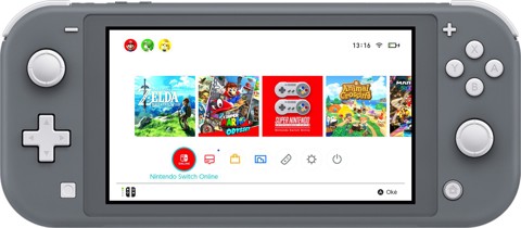 Nintendo Switch Lite console da gioco portatile 14 cm (5.5") 32 GB Touch screen Wi-Fi Grigio