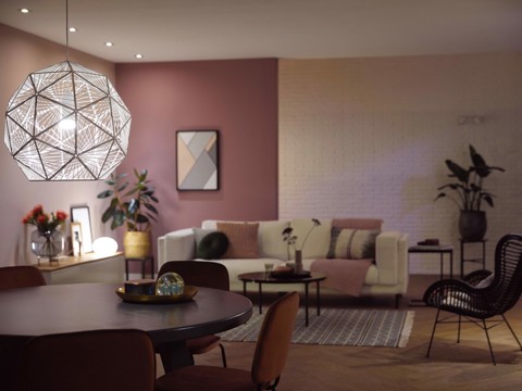 Philips Hue White E27 (confezione da 1)