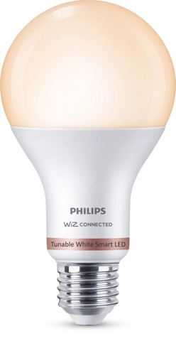 Philips Lampadina 13 W (Eq.100 W) - A67 E27