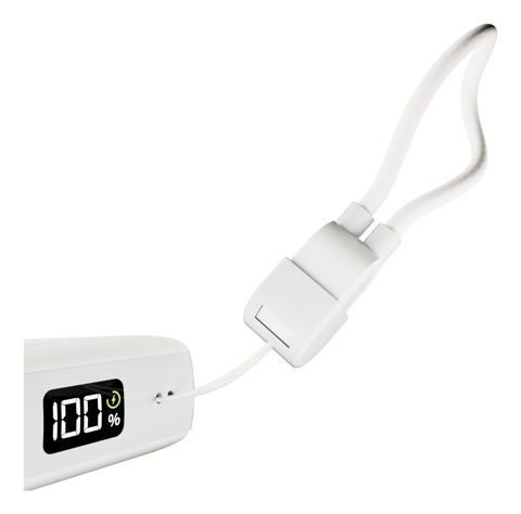 PURO PUFCBB100P12WHI batteria portatile Ioni di Litio 10000 mAh Bianco