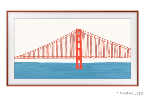 Samsung VG-SCFA65TRC/XC accessorio TV