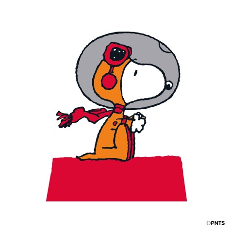 SBS CMPNUTSAP3CASE1 accessorio per cuffia Custodia