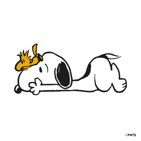 SBS CMPNUTSAPPRO2CASE1 accessorio per cuffia Custodia