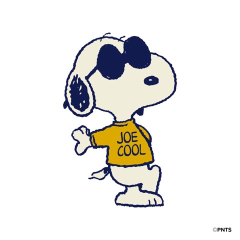 SBS CMPNUTSSTAND5 accessorio per smartphone e telefoni cellulari