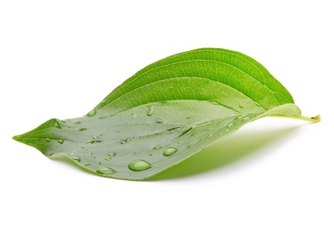 Smeg PL65222BIN lavastoviglie A scomparsa parziale 13 coperti E