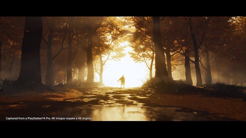 Sony Ghost of Tsushima Standard ITA PlayStation 4