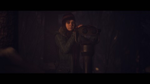 Sony Interactive Entertainment Until Dawn Standard Multilingua PlayStation 5