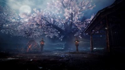Sony Nioh 2, PS4 Basic Inglese, ITA PlayStation 4