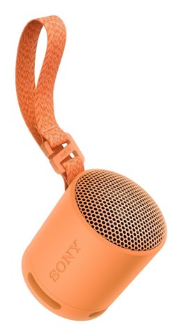 Sony SRS-XB100 - Speaker Wireless Bluetooth, portatile, leggero, compatto, da esterno, da viaggio, resistente IP67 impermeabile e antipolvere, batteria da 16 ore, cinturino versatile, chiamate in vivavoce – Arancio