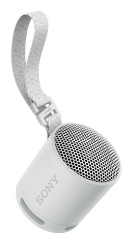 Sony SRS-XB100 - Speaker Wireless Bluetooth, portatile, leggero, compatto, da esterno, da viaggio, resistente IP67 impermeabile e antipolvere, batteria da 16 ore, cinturino versatile, chiamate in vivavoce - Grigio