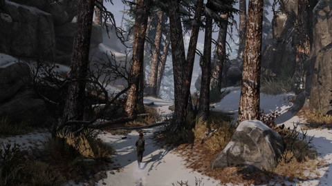 Sony The Last of Us Remastered (PS Hits)