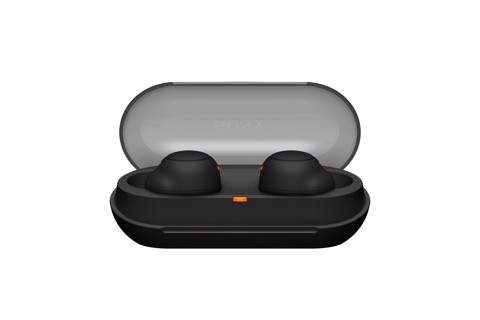 Sony WF-C500 - Auricolari True Wireless, Fino a 20 ore di durata della batteria con custodia di ricarica, Compatibile con l'Assistente Vocale, Microfono integrato (Nero)