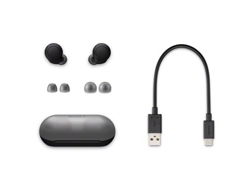 Sony WF-C500 - Auricolari True Wireless, Fino a 20 ore di durata della batteria con custodia di ricarica, Compatibile con l'Assistente Vocale, Microfono integrato (Nero)