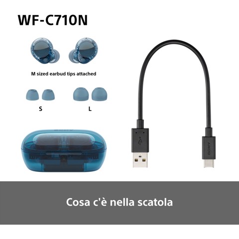 Sony WFC710NL.CE7 cuffia e auricolare True Wireless Stereo (TWS) In-ear Musica e Chiamate USB tipo-C Bluetooth Blu