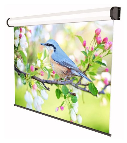 Sopar 5245 schermo per proiettore 2,82 m (111") 16:10