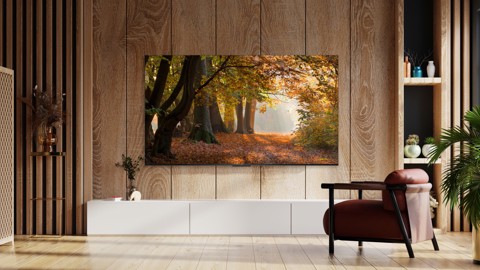 TCL P655 Series Serie P6 Smart TV Ultra HD 4K 55" 55P655, Dolby Audio, Controlli vocali, Google TV