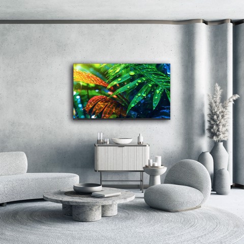 Thomson 43MG7C15 TV 109,2 cm (43") 4K Ultra HD Smart TV Wi-Fi Nero 320 cd/m²